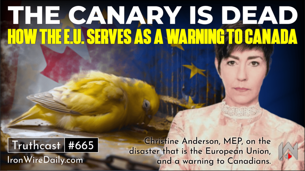 The Canary is Dead: How the EU Serves as a Warning to Canada The Canary is Dead: How the EU Serves as a Warning to Canada