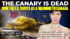 The Canary is Dead: How the EU Serves as a Warning to Canada
